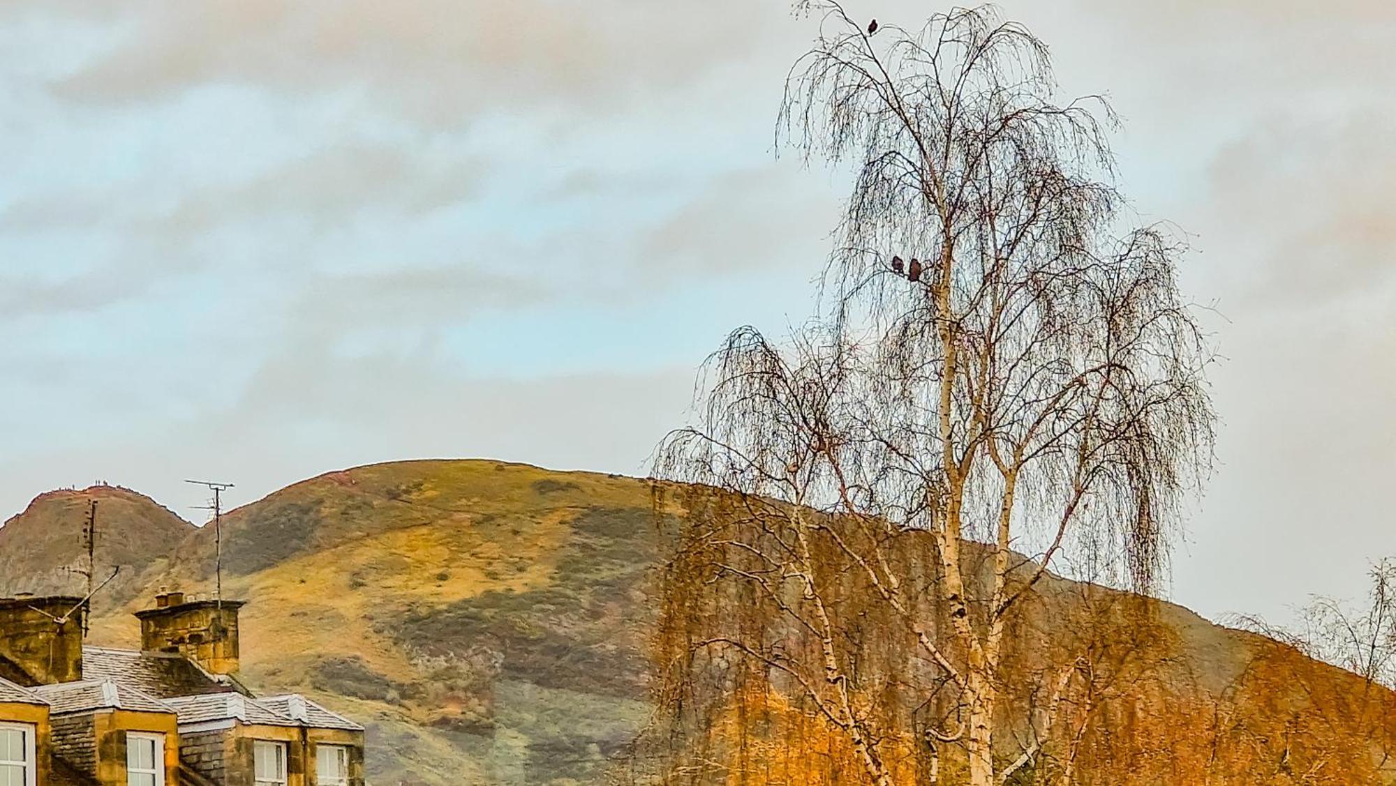 Mayfield Suites Edinburgh Luaran gambar